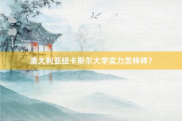 澳大利亚纽卡斯尔大学实力怎样样？